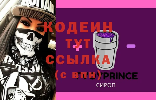 хмурый Бородино